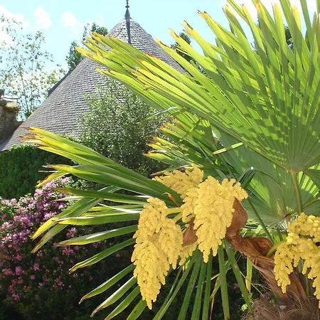 בית הארחה Chateau Le Val