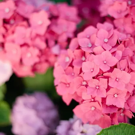 בית הארחה Chateau Le Val