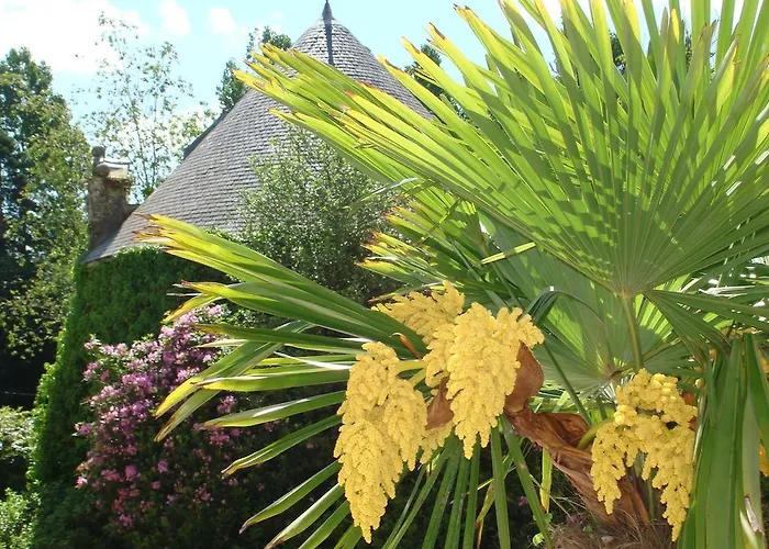 بيت ضيافة Chateau Le Val