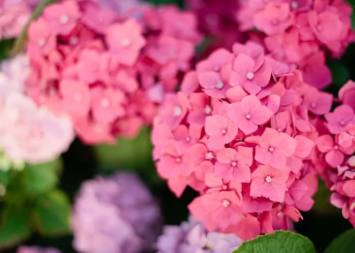 بيت ضيافة Chateau Le Val